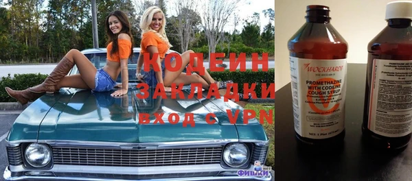 шишки Бабаево