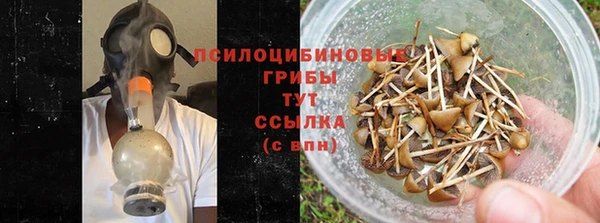 шишки Нефтекумск