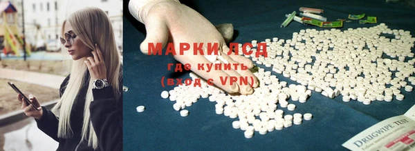 ПСИЛОЦИБИНОВЫЕ ГРИБЫ Алзамай