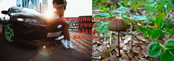 дживик Нея