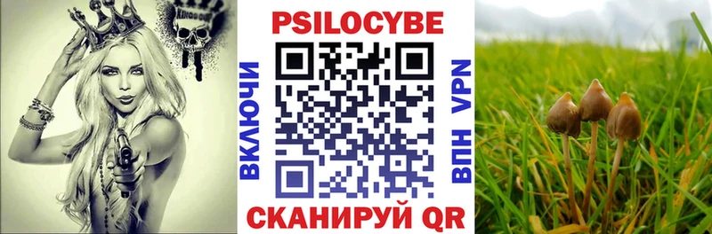 это телеграм  Зубцов  Псилоцибиновые грибы ЛСД  закладки 
